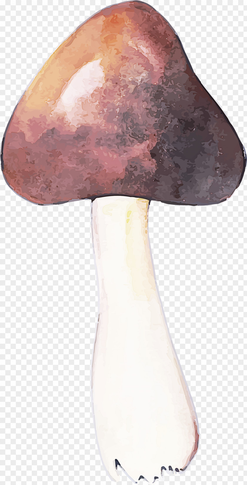 Purple Mushroom PNG
