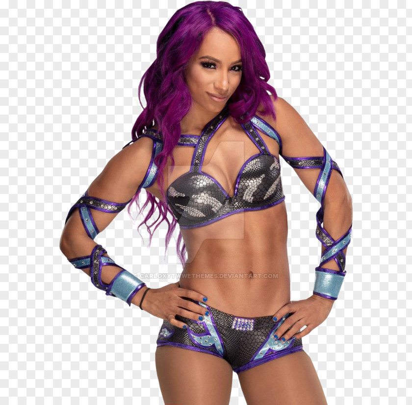 Sasha Banks WWE Raw Women's Championship SmackDown SummerSlam PNG SummerSlam, sasha banks clipart PNG