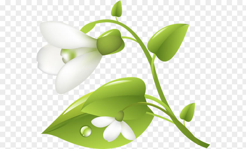 Alternative Health Services Product Design Leaf Plant Stem Medicine PNG