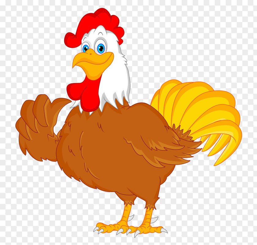 Chicken Bird Royalty-free Photography PNG