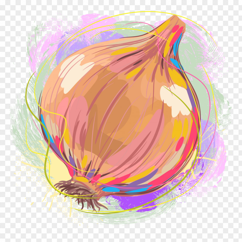 Onion Vegetable Food Illustration PNG