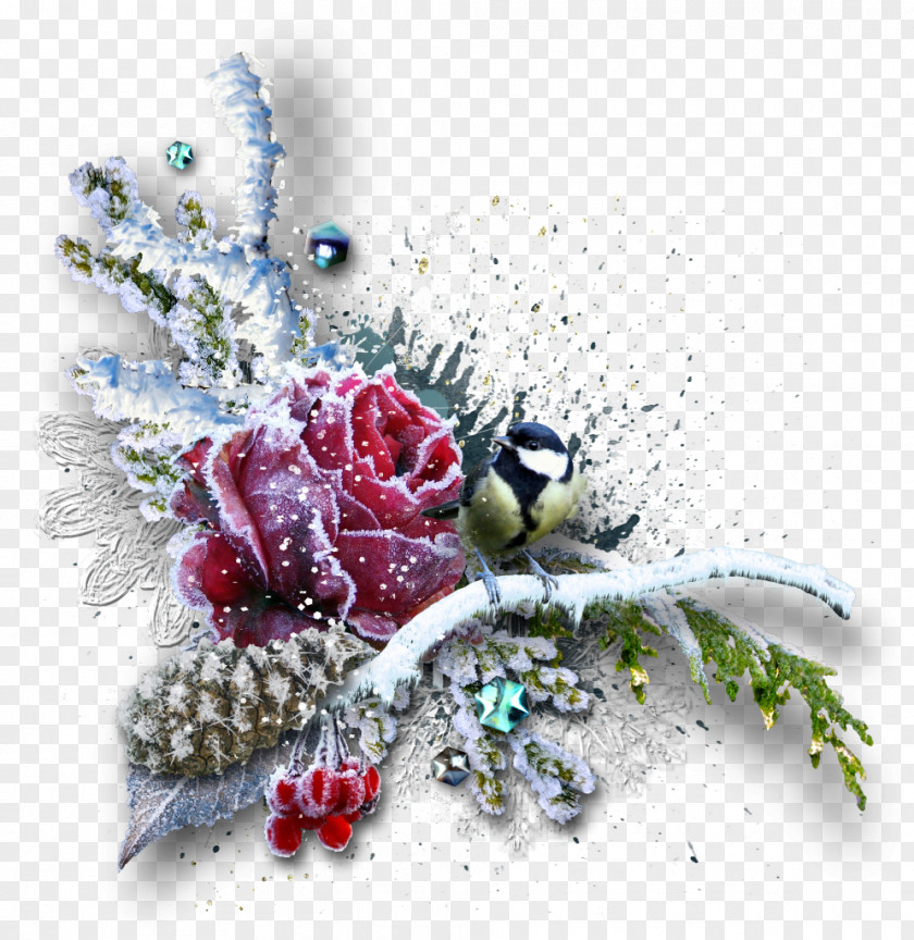 Winter Christmas Flower Picture Frames Polyvore PNG