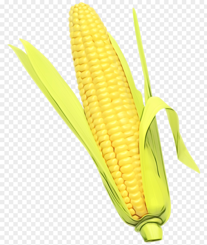 Corn Kernels On The Cob Sweet PNG
