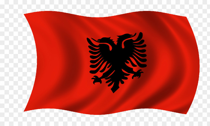 Flag Of Albania Can Stock Photo PNG
