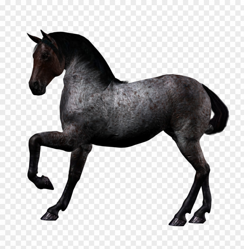 Horse Image American Quarter Howrse Fantasy Unicorn PNG