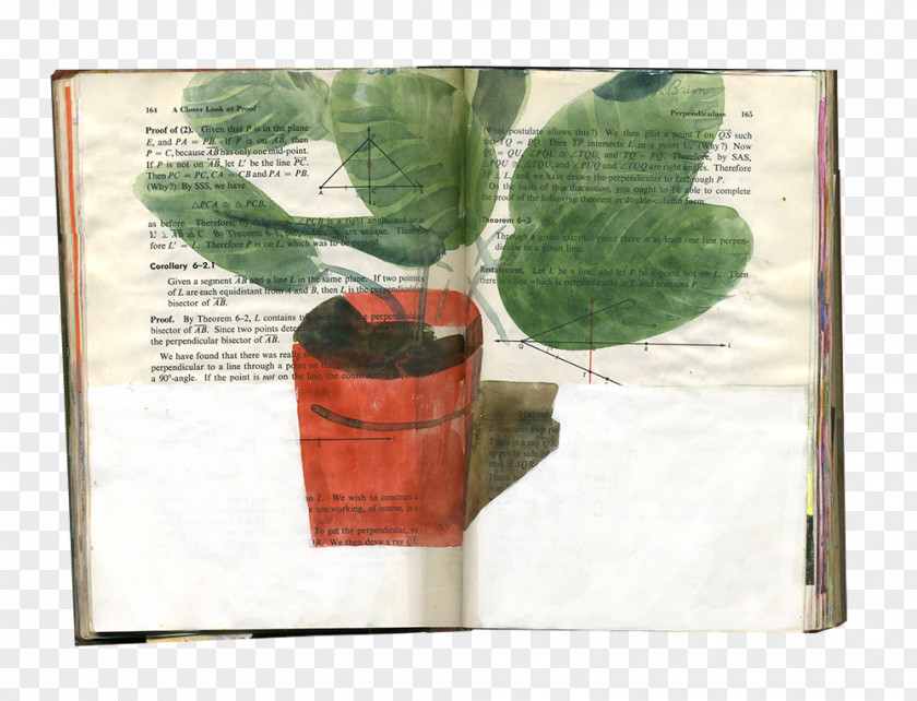 Leaf Flowerpot Sketchbook Portfolio PNG