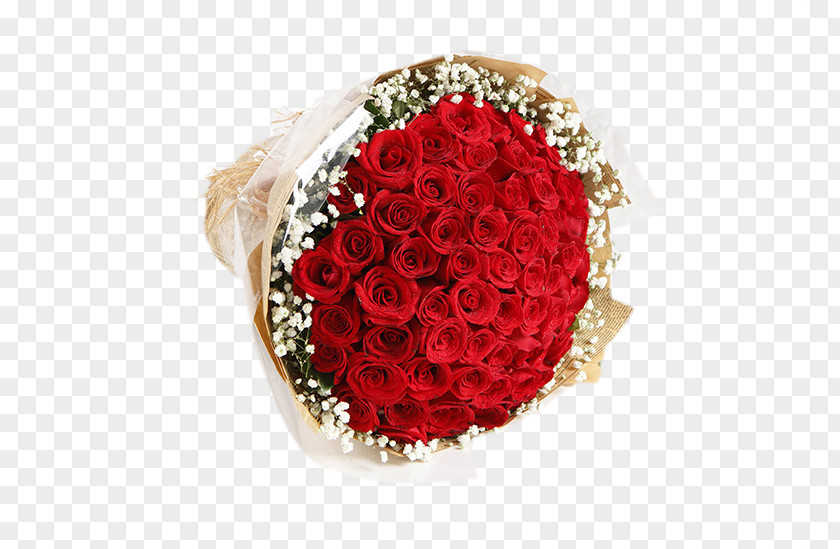 66 Red Roses Bouquet Buckle Clip Free Beach Rose Garden Nosegay Gypsophila Paniculata Flower PNG