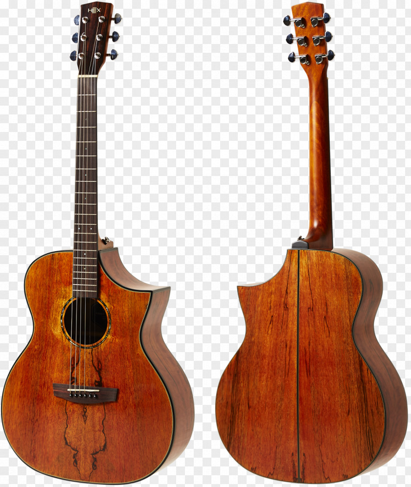 Acoustic Guitar Takamine Guitars Acoustic-electric Musical Instruments PNG