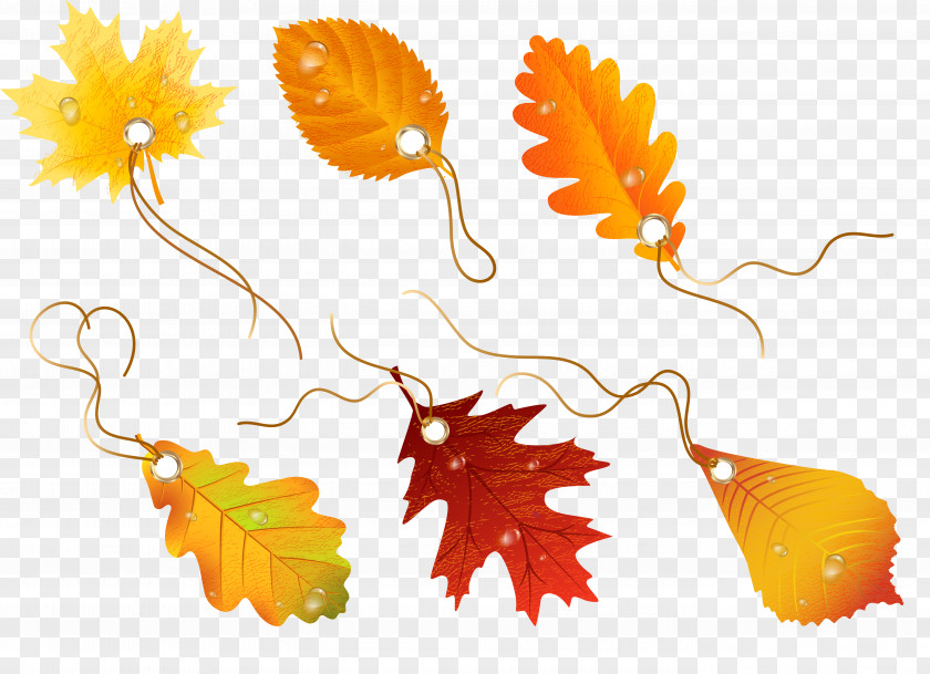 Autumn Leaves Drawing Clip Art PNG