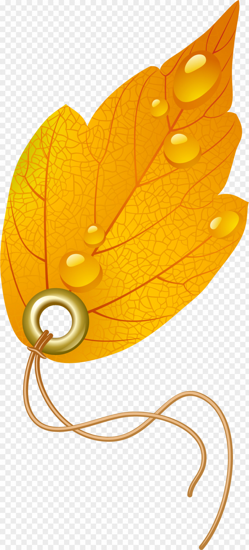 Leaf Maple PNG