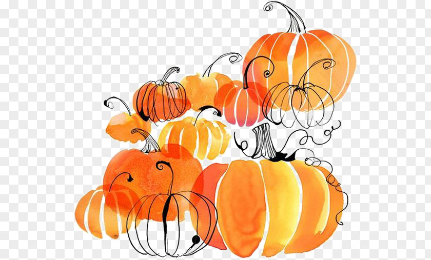 Pumpkin Autumn Harvest Festival Thanksgiving Flyer PNG