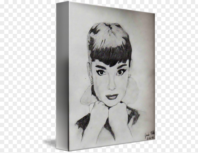 Audrey Hepburn Visual Arts Modern Art Sketch PNG
