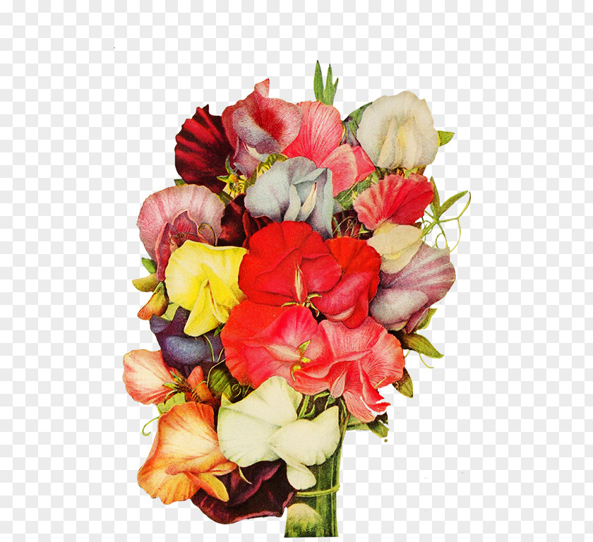 Flower Garden Roses Cut Flowers Floral Design Bouquet PNG