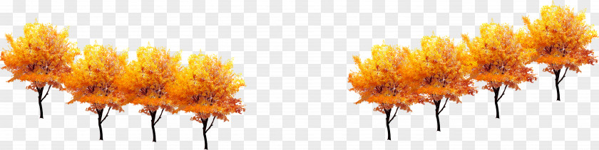 Autumn Golden Tree Decoration Computer File PNG