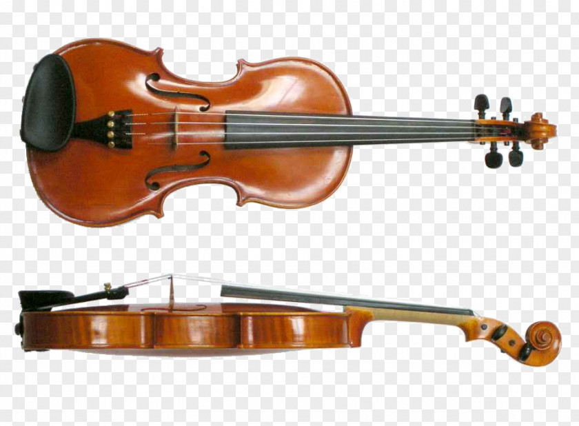 Musical Instruments Violin String Viola PNG