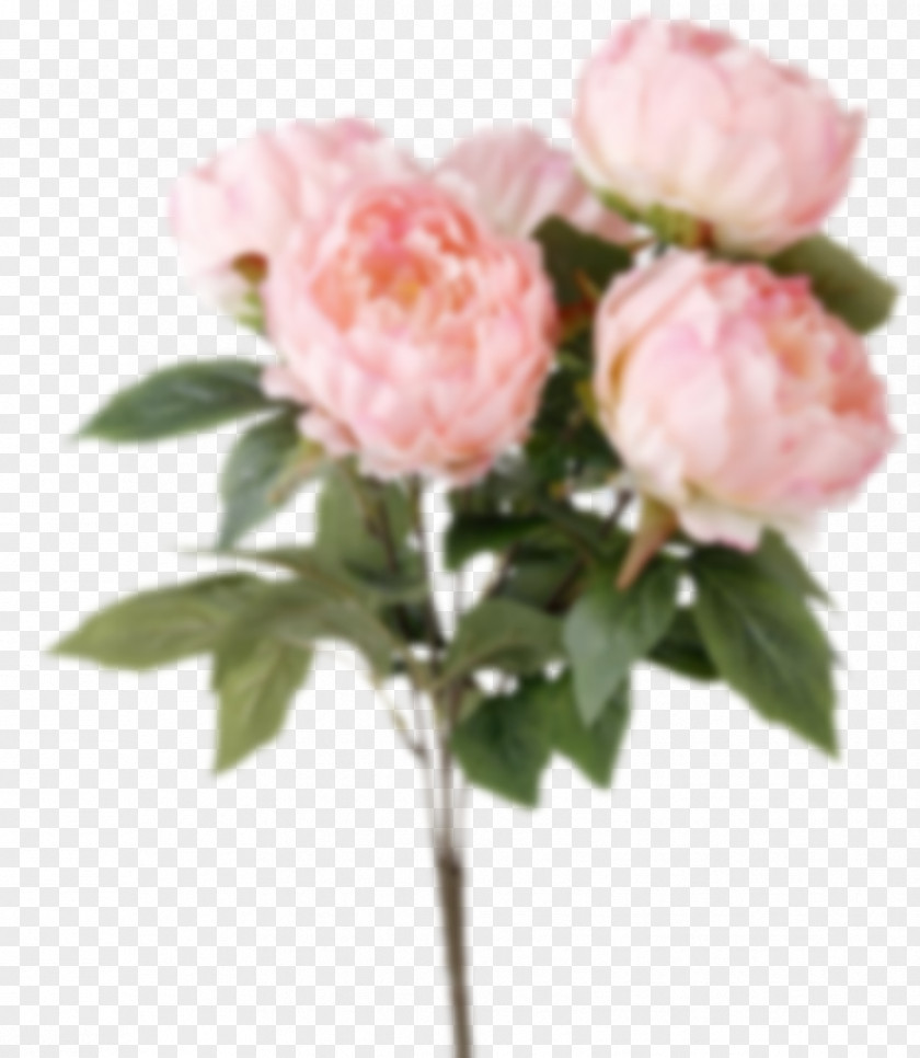 Peony Garden Roses Flower Bouquet Silk PNG