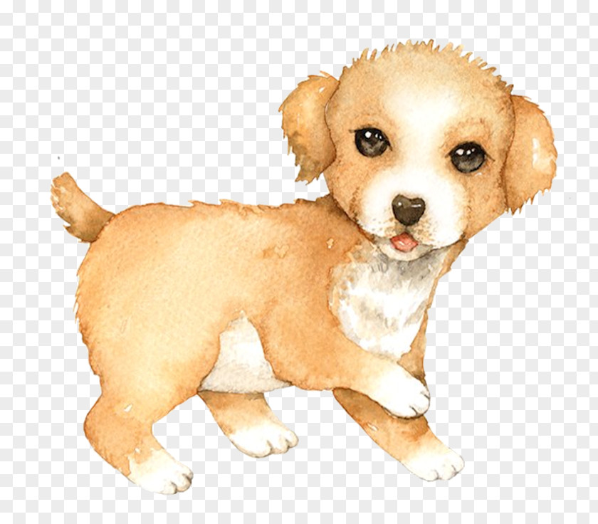 Puppy Dog Breed Golden Retriever Cat Dachshund PNG