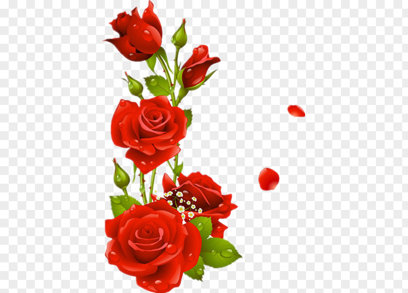 Red Roses Borders And Frames Flower Rose Picture Frame Clip Art PNG