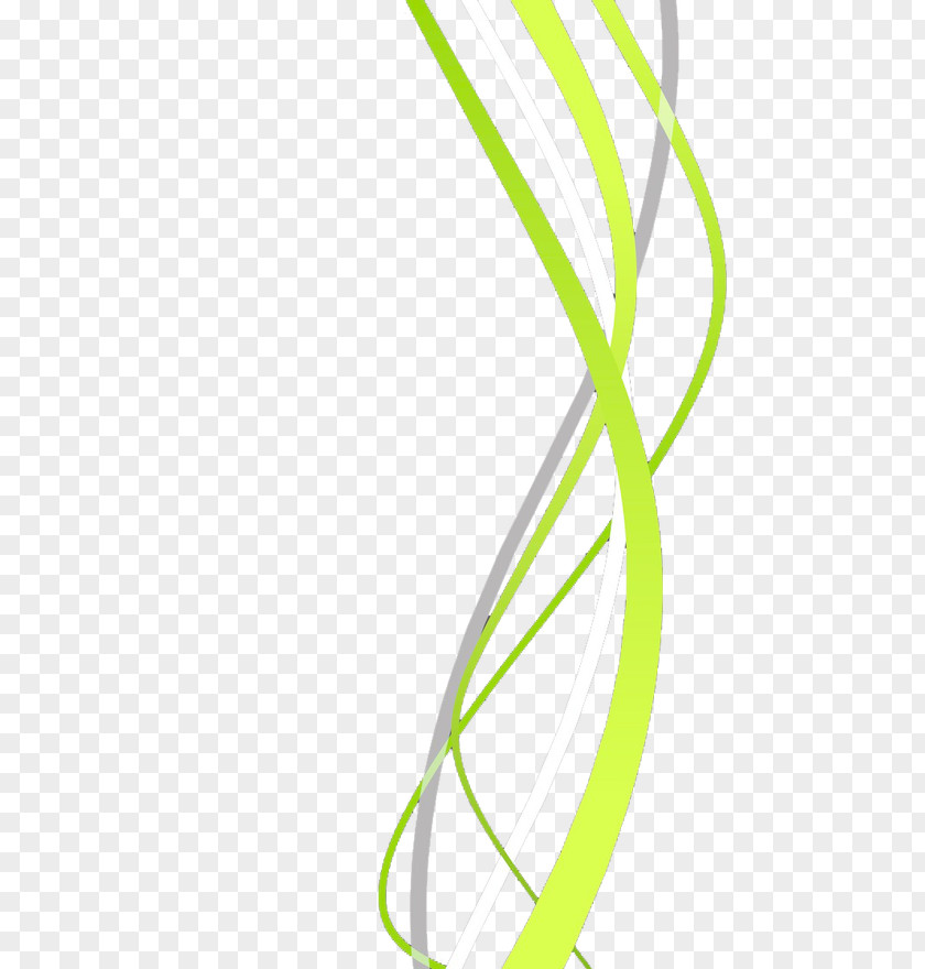 Wavy Lines Light Line Green White PNG