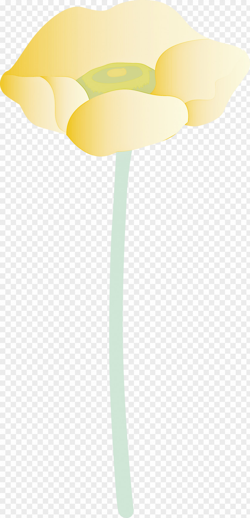 Yellow Plant Lamp Stem Flower PNG