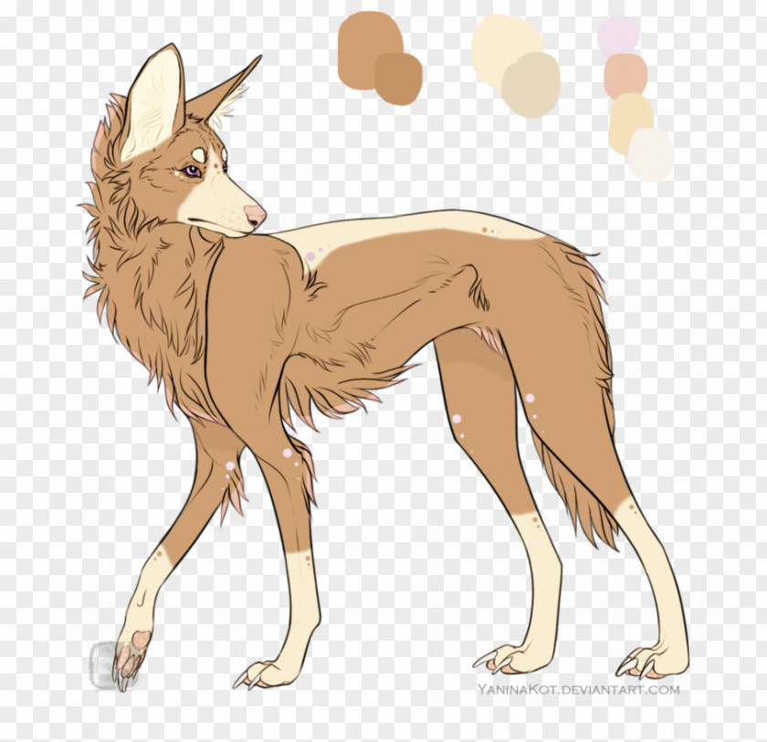 Dog Coyote Breed Maned Wolf Jackal PNG