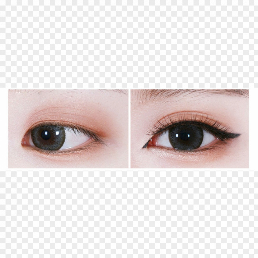 Eye Eyelash Extensions Shadow Liner Lip Gloss PNG