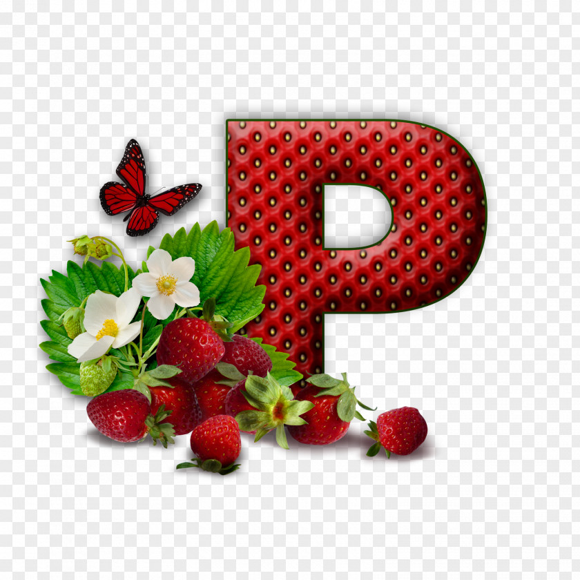 Letter Alphabet Pasta K PNG