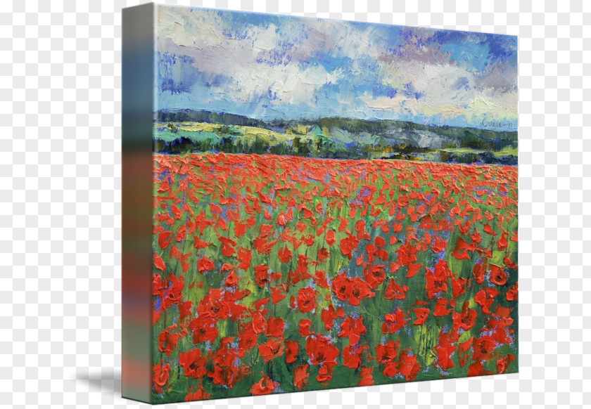 Painting Poppy Gallery Wrap Canvas Acrylic Paint PNG
