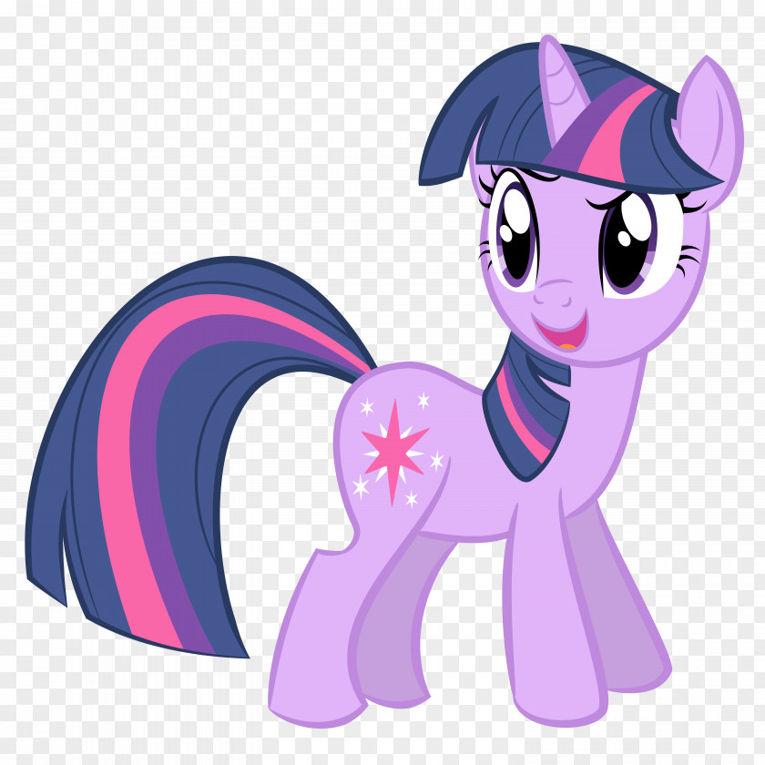 Sparkle Vector Pony Twilight Pinkie Pie Rarity The Saga PNG