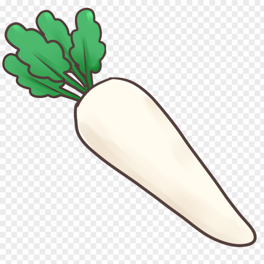 Fresh Vegetable PNG