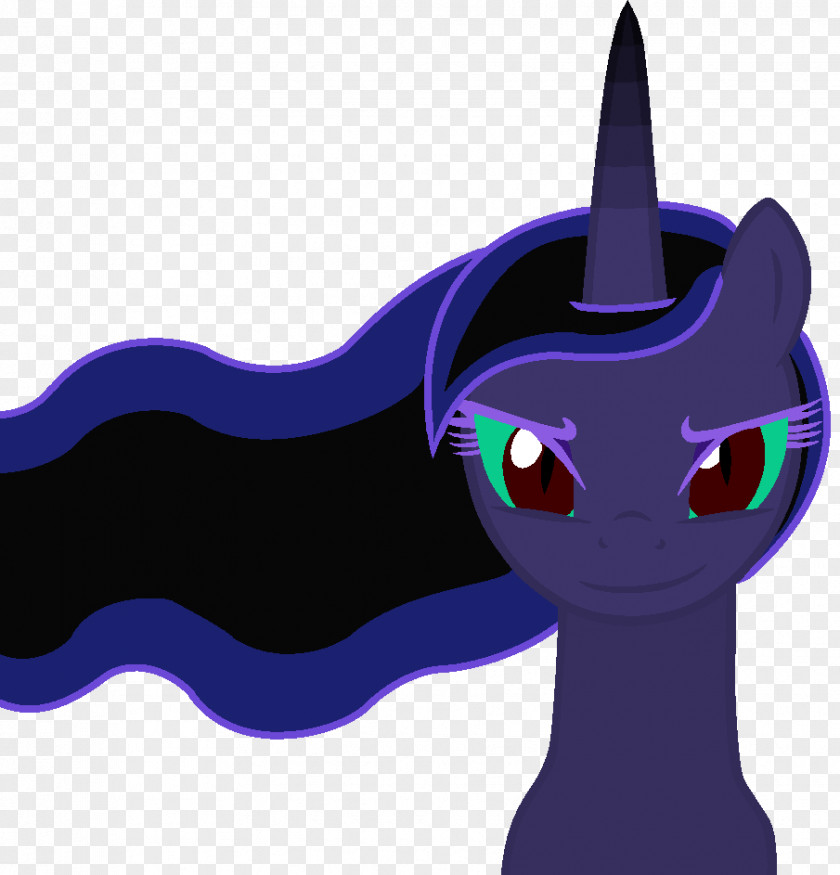 Hello There Whiskers Pony Horse Name Cat PNG