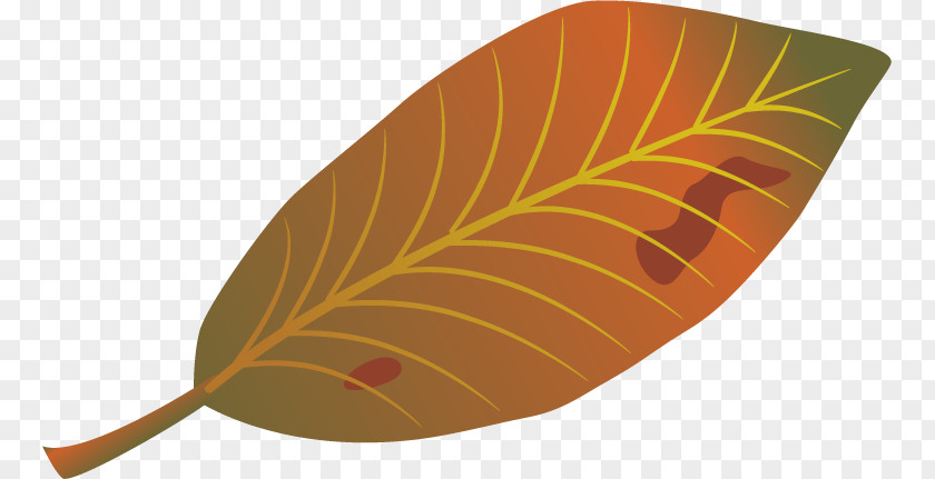 Autumn Leaves Vector Material Free Pull Effect Leaf Clip Art PNG