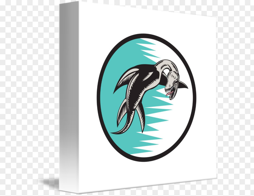 Bird Beak Flightless Marine Mammal PNG