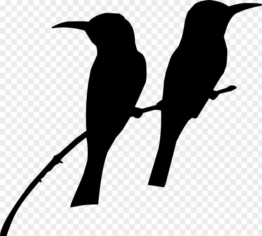 Birds Silhouette Hummingbird PNG