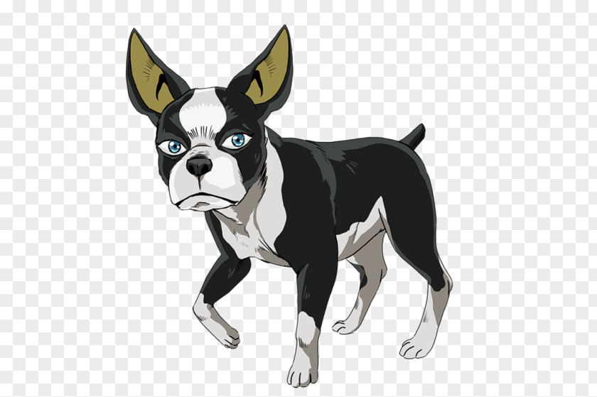 BOSTON TERRIER Boston Terrier Dog Breed Non-sporting Group (dog) Snout PNG