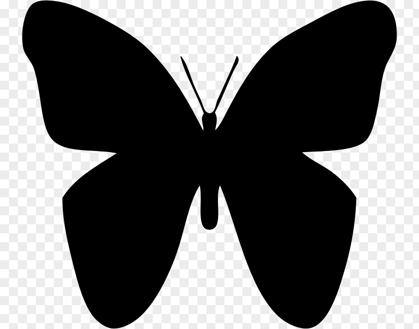 Butterfly YouTube Clip Art PNG