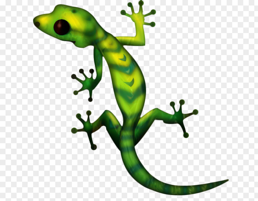 Gecko Image Hashtag Video Photograph PNG
