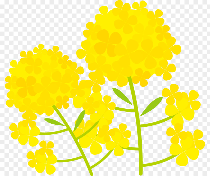 Illustration Of A Two-wheeled Flower. PNG