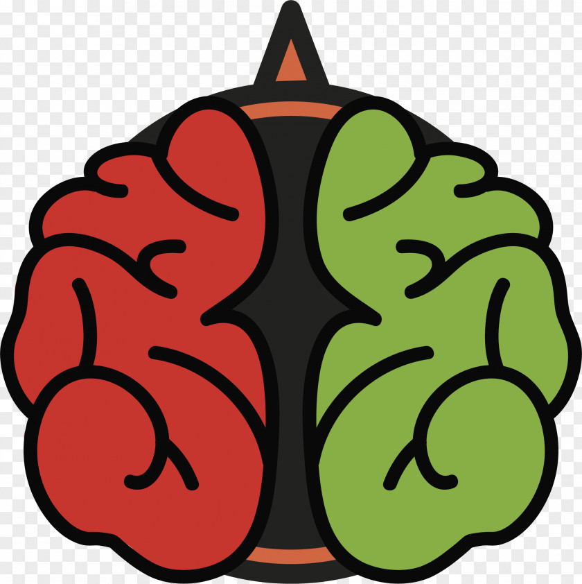 Left And Right Brain Division Euclidean Vector Cerebral Hemisphere Vecteur Agy PNG