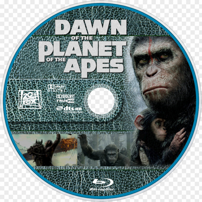 Planet Of The Apes Film Snout Poster Printing Dawn PNG
