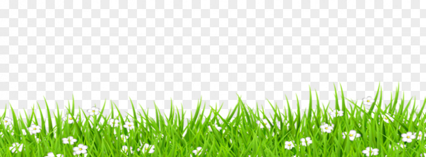 TV VERBO Pasture Desktop Wallpaper PNG