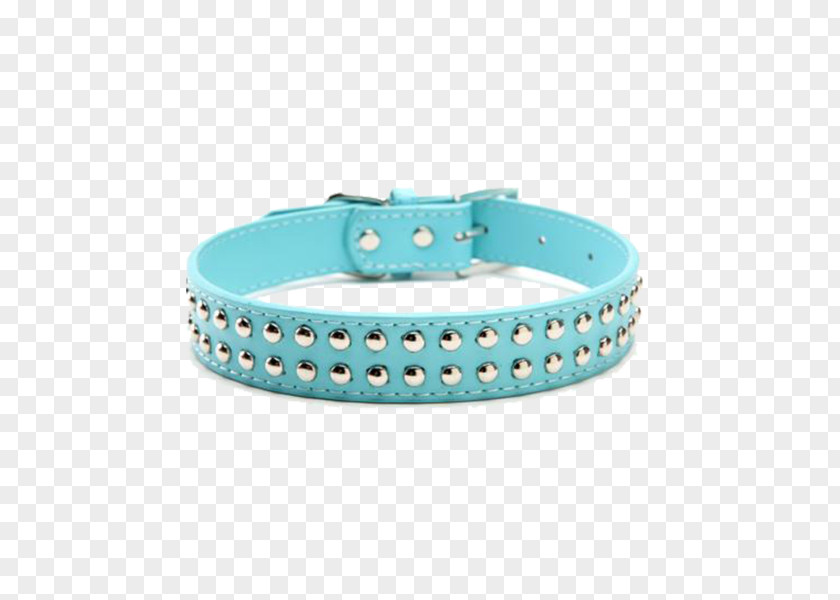 Dog Collar Turquoise Leather PNG