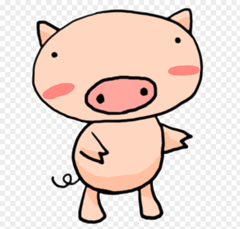 Domestic Pig Shiba Inu Drawing Clip Art PNG