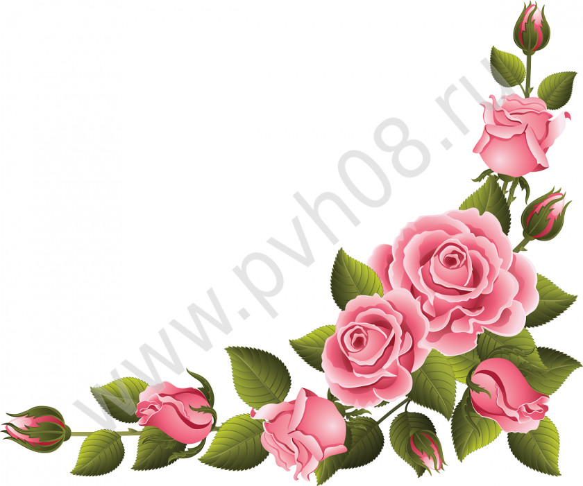 Flower Background Garden Roses PNG