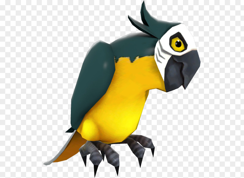 Macaw Beak Fauna Toucan Cartoon PNG