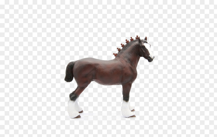 Mustang Stallion Shire Horse Arabian Friesian Belgian PNG