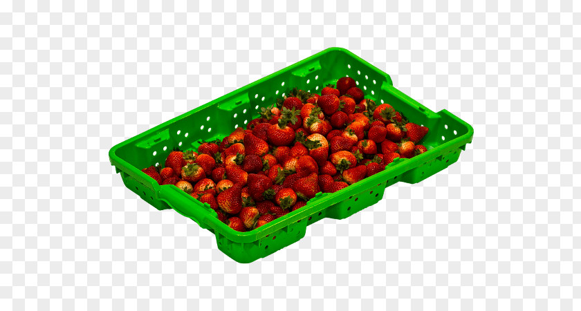 Picking Fresh Berries Tabasco Pepper Vegetarian Cuisine Blueberry Food PNG