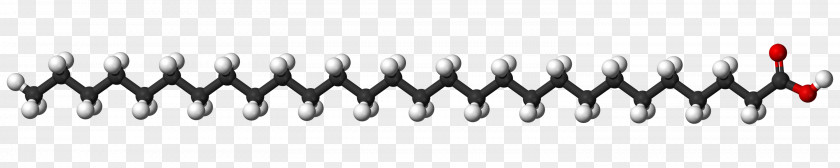 Acid Stearic Elaidic Fatty Carboxylic Molecule PNG