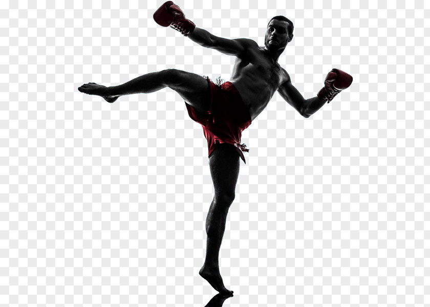 Boxing Muay Thai Kickboxing Stock Photography PNG