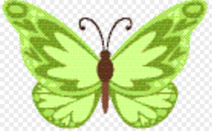 Brushfooted Butterfly Wing Green Leaf Background PNG